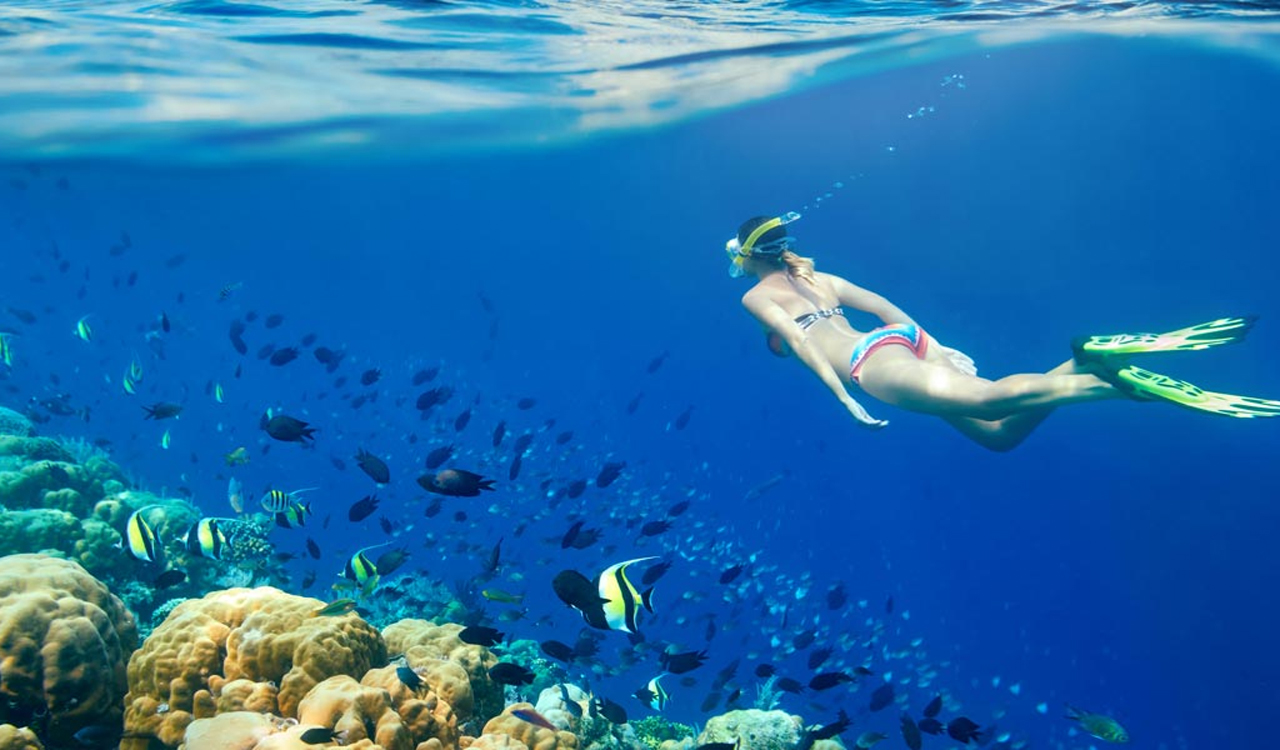 Snorkeling Boat Trip